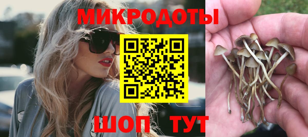 Каменск-Уральский  Галлюциногенные грибы GOLDEN TEACHER  Вход с VPN 